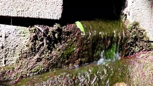 Flusso Acqua Dal Collettore Scarico Delle Infrastrutture Urbane — Video Stock