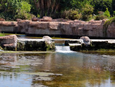 Antalya Türkiye'nin Lara ilçesinin parkında bir şelale ile gölet