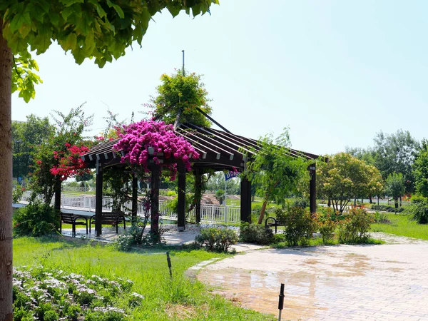 Pérgola Decorada Con Flores Parque Ciudad Antalya Turquía — Foto de Stock