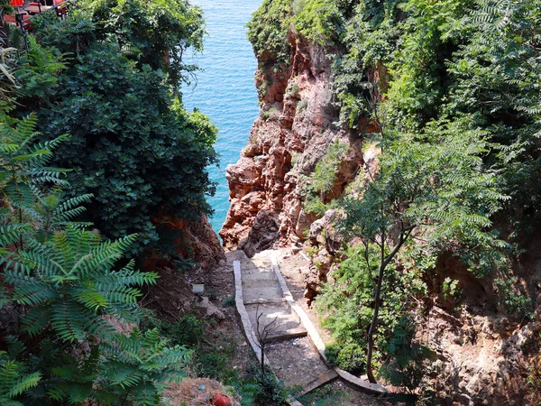 Sentiero Piedi Passeggiate Sullo Sfondo Del Mare Nel Parco Della — Foto Stock