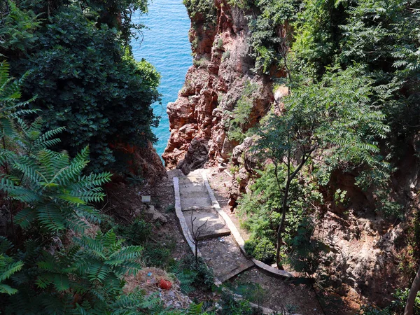 Sentiero Piedi Passeggiate Sullo Sfondo Del Mare Nel Parco Della — Foto Stock