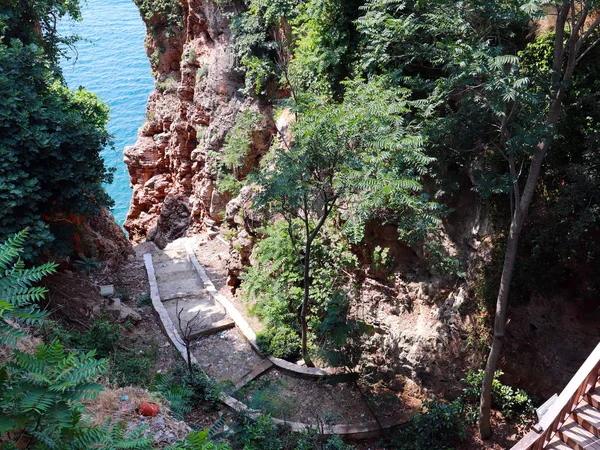 Sentiero Piedi Passeggiate Sullo Sfondo Del Mare Nel Parco Della — Foto Stock