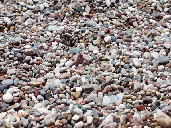 Large Stone Pebble Turned Sea Water — Stock Photo, Image