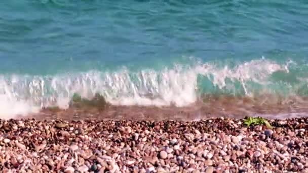 Acqua Limpida Del Mare Surf Spiaggia Ghiaia — Video Stock