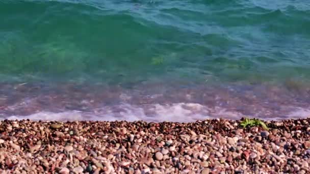 Acqua Limpida Del Mare Surf Spiaggia Ghiaia — Video Stock