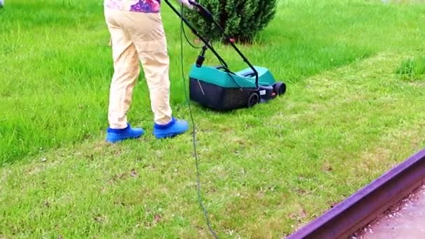 Mowing Green Grass Lawn Lawn Mower — Stock Video