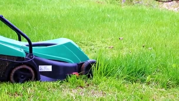 芝刈り機で芝生の緑の芝生を刈ると — ストック動画