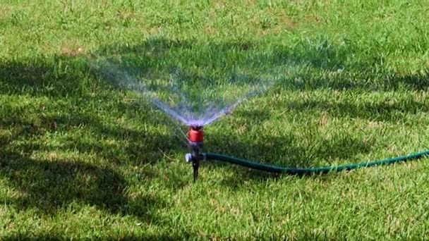 Working Plastic Sprayer Watering Lawn — Stock Video