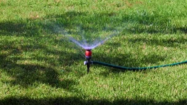 Working Plastic Sprayer Watering Lawn — Stock Video