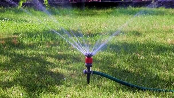 Working Plastic Sprayer Watering Lawn — Stock Video