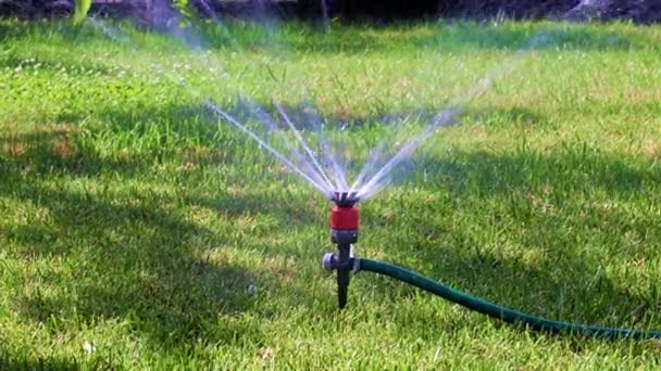 草坪浇水时使用的塑料喷雾器 — 图库视频影像