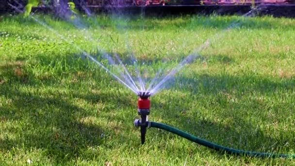 Working Plastic Sprayer Watering Lawn — Stock Video