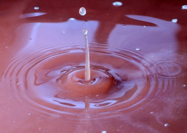 Sulu çözeltinin yüzeyine bir damla sıvı düşer.