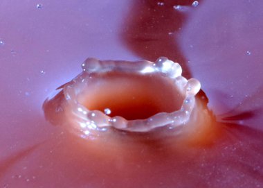 Sulu çözeltinin yüzeyine bir damla sıvı düşer.