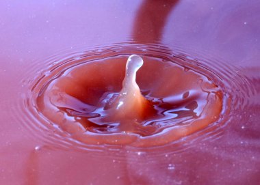 Sulu çözeltinin yüzeyine bir damla sıvı düşer.