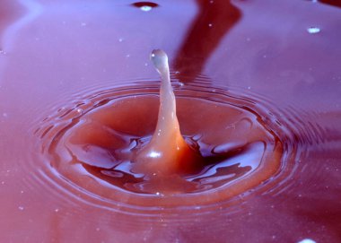 Sıvının yüzeyine bir damla kakao düşer.