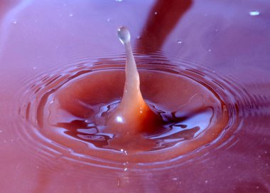 Sıvının yüzeyine bir damla kakao düşer.