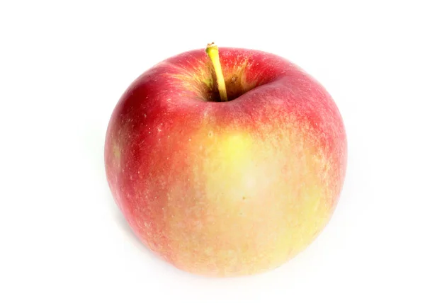 Belle Pomme Mûre Dans Cadre Une Récolte Automne — Photo