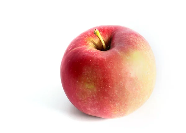 秋の収穫の一環として美しい熟したリンゴ — ストック写真