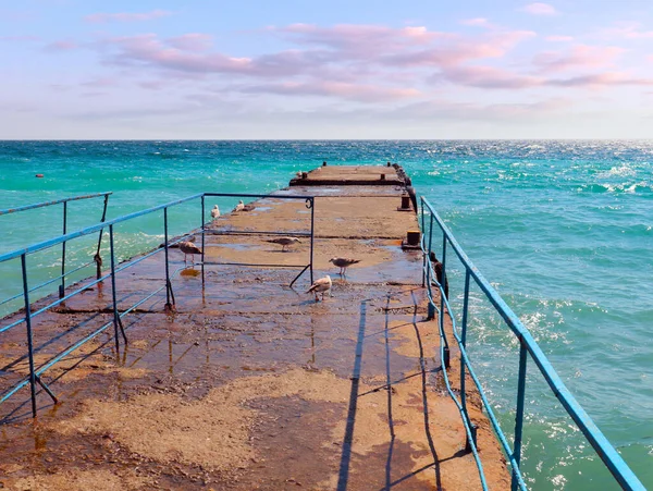 concrete pier breakwater guards on the Mediterranean coast