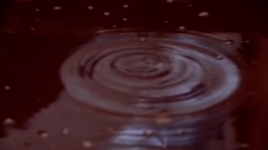 Sıvının yüzeyine düşen bir damla su tuhaf desenler oluşturur.