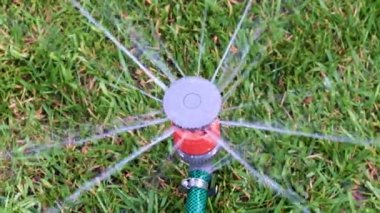 Saf su fıskiyeleri çimenlikteki bir spreyin içinden akıyor.