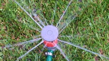 Saf su fıskiyeleri çimenlikteki bir spreyin içinden akıyor.