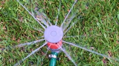 Saf su fıskiyeleri çimenlikteki bir spreyin içinden akıyor.