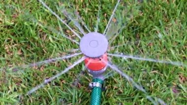 Saf su fıskiyeleri çimenlikteki bir spreyin içinden akıyor.