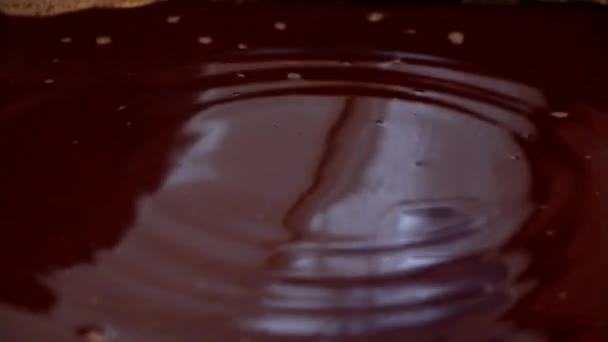 Drop Water Falling Surface Liquid Creates Bizarre Patterns — Stock Video