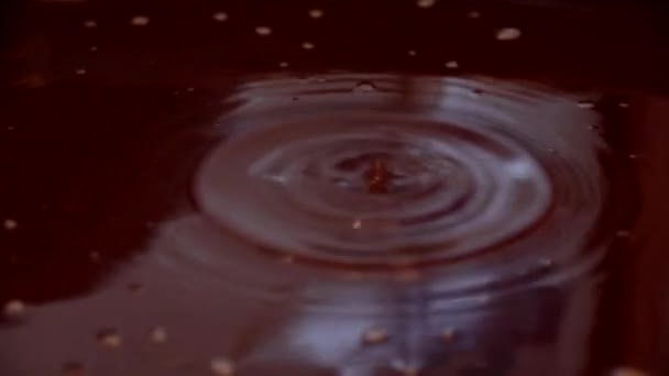 Una Gota Agua Caer Sobre Superficie Del Líquido Crea Patrones — Vídeos de Stock