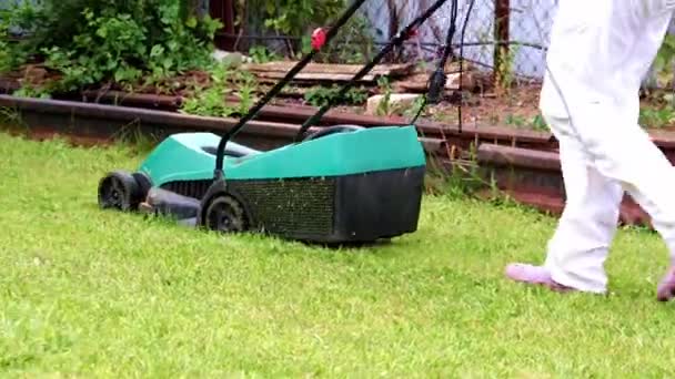 Couper Herbe Fraîche Avec Une Tondeuse Électrique — Video