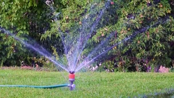 樹脂噴霧器で草を湿らせる過程は — ストック動画