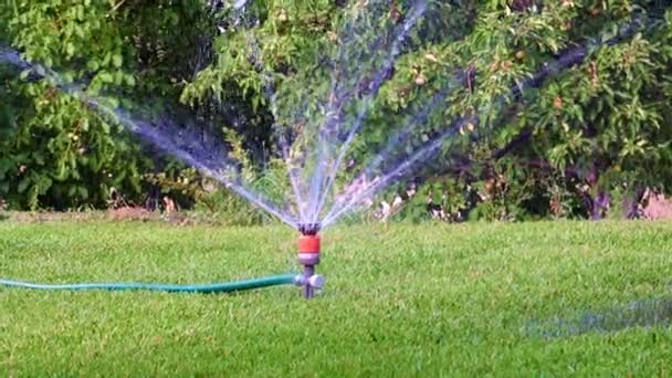 樹脂噴霧器で草を湿らせる過程は — ストック動画