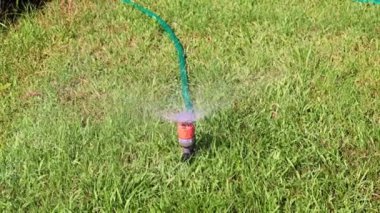 Plastik püskürtücü yeşil çimenlerin arasından temiz su püskürten bir su.
