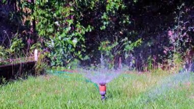 Plastik püskürtücü yeşil çimenlerin arasından temiz su püskürten bir su.