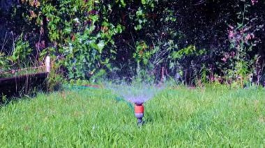 Plastik püskürtücü yeşil çimenlerin arasından temiz su püskürten bir su.
