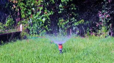 Plastik püskürtücü yeşil çimenlerin arasından temiz su püskürten bir su.