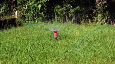 Plastik püskürtücü yeşil çimenlerin arasından temiz su püskürten bir su.