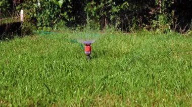 Plastik püskürtücü yeşil çimenlerin arasından temiz su püskürten bir su.