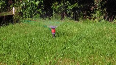 Plastik püskürtücü yeşil çimenlerin arasından temiz su püskürten bir su.