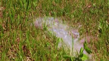 Temiz su akıntısı ve yeşil çimen