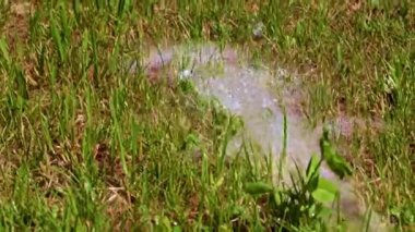 Temiz su akıntısı ve yeşil çimen