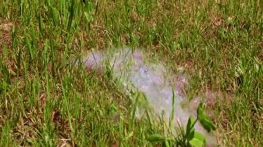 Temiz su akıntısı ve yeşil çimen