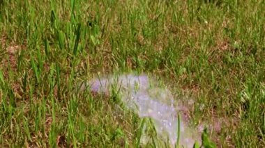 Temiz su akıntısı ve yeşil çimen