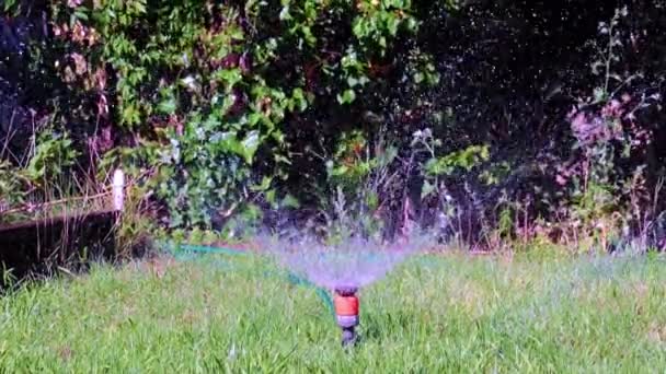 Water Spray Clean Water Plastic Sprayer Green Lawn Grass — Stock Video