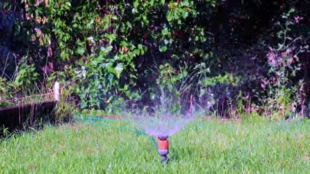 Apă Spray Apă Curată Printr Pulverizator Plastic Iarbă Verde Gazon — Videoclip de stoc