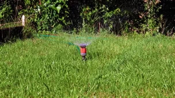 Água Com Spray Água Limpa Através Pulverizador Plástico Grama Gramado — Vídeo de Stock