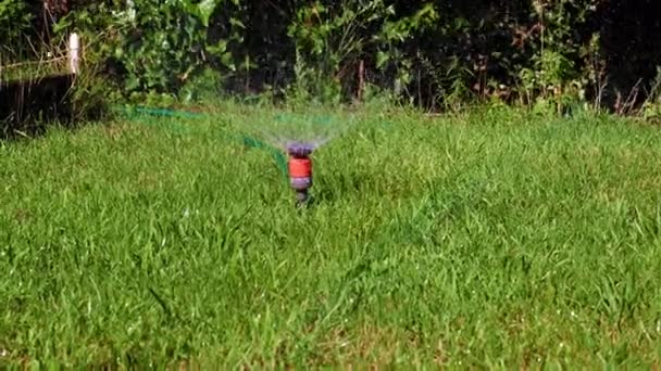 Água Com Spray Água Limpa Através Pulverizador Plástico Grama Gramado — Vídeo de Stock