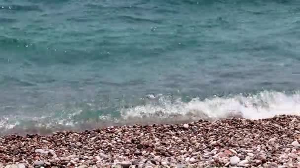 Havsvågor Och Kustremsa Som Plats För Rekreation Och Underhållning — Stockvideo